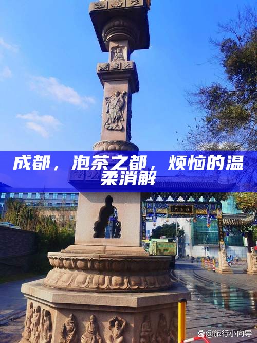 成都，泡茶之都，烦恼的温柔消解