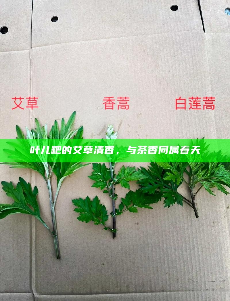 叶儿粑的艾草清香，与茶香同属春天