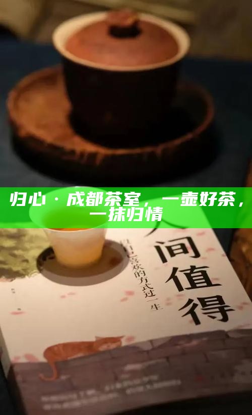 归心·成都茶室，一壶好茶，一抹归情