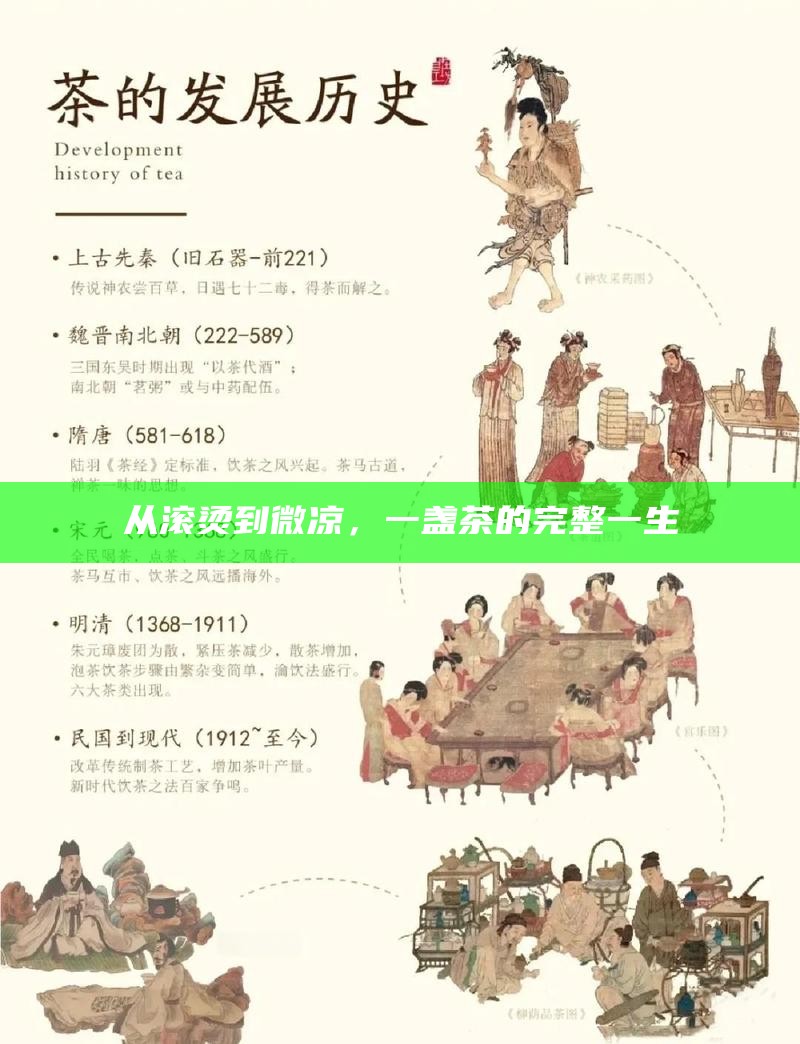 从滚烫到微凉，一盏茶的完整一生